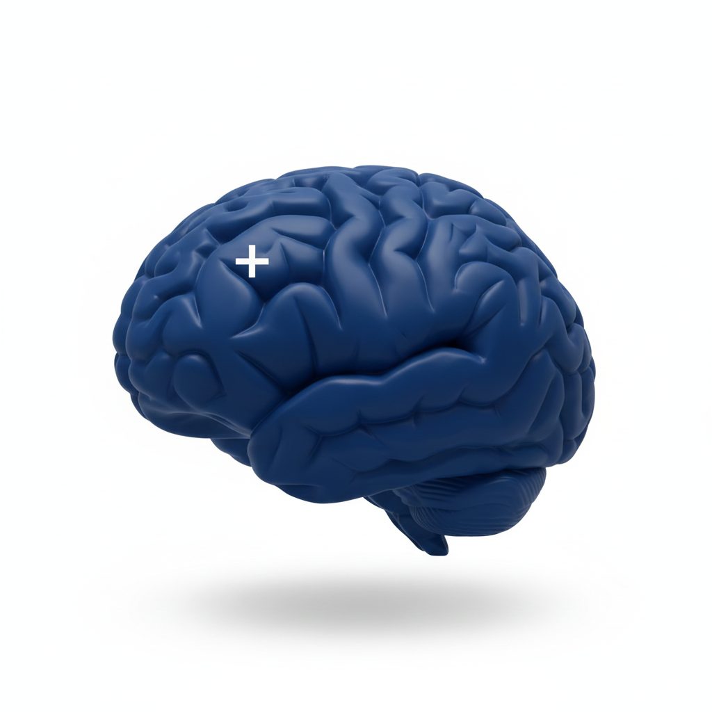 Here’s What You Can Do to Protect Your Brain